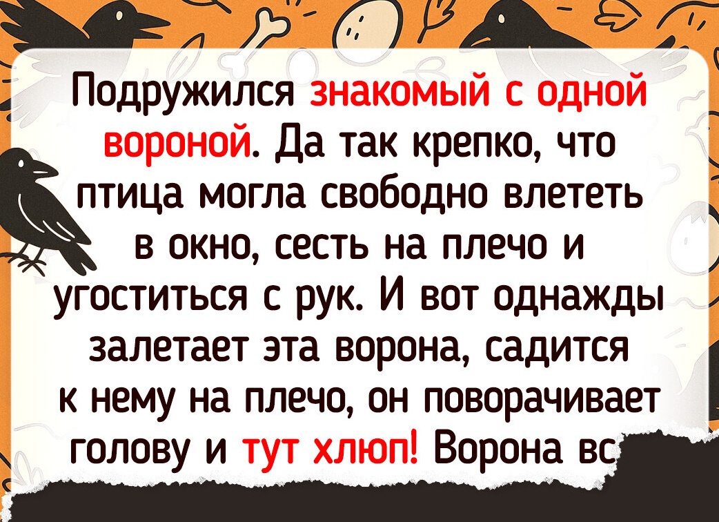 Птица на плечо села внезапно: народная примета Птица на плечо села внезапно: народная примета