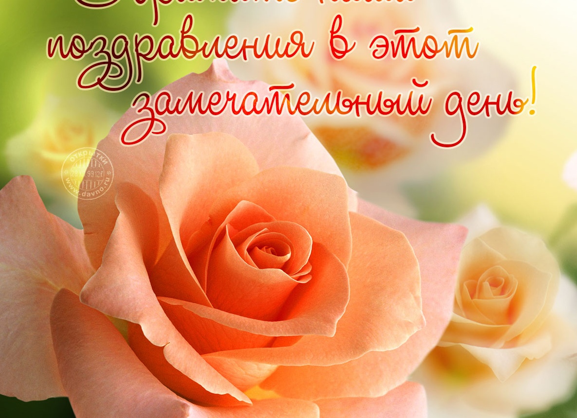 …примите поздравления! …примите поздравления!