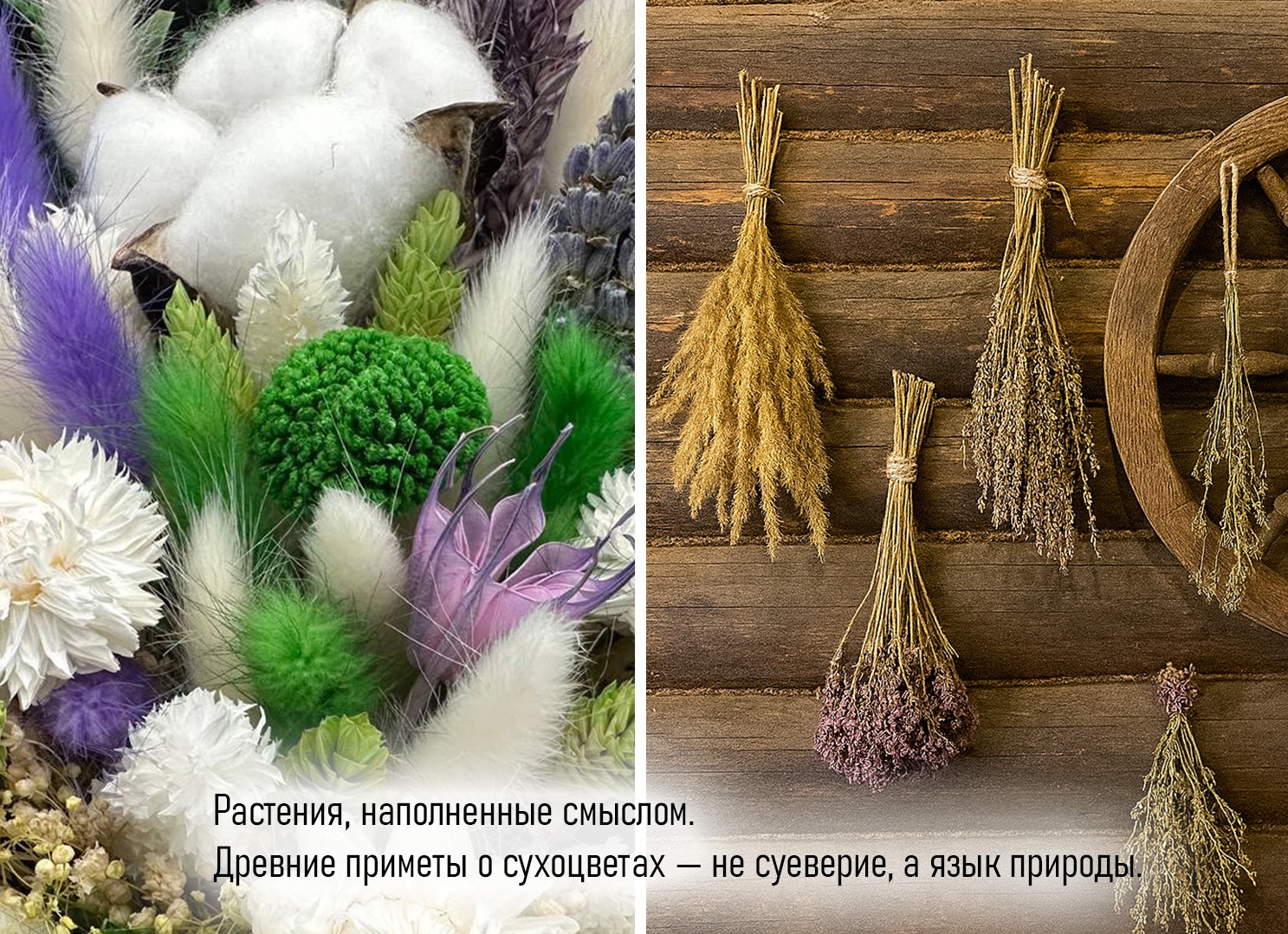 Осыпались цветы дома: примета