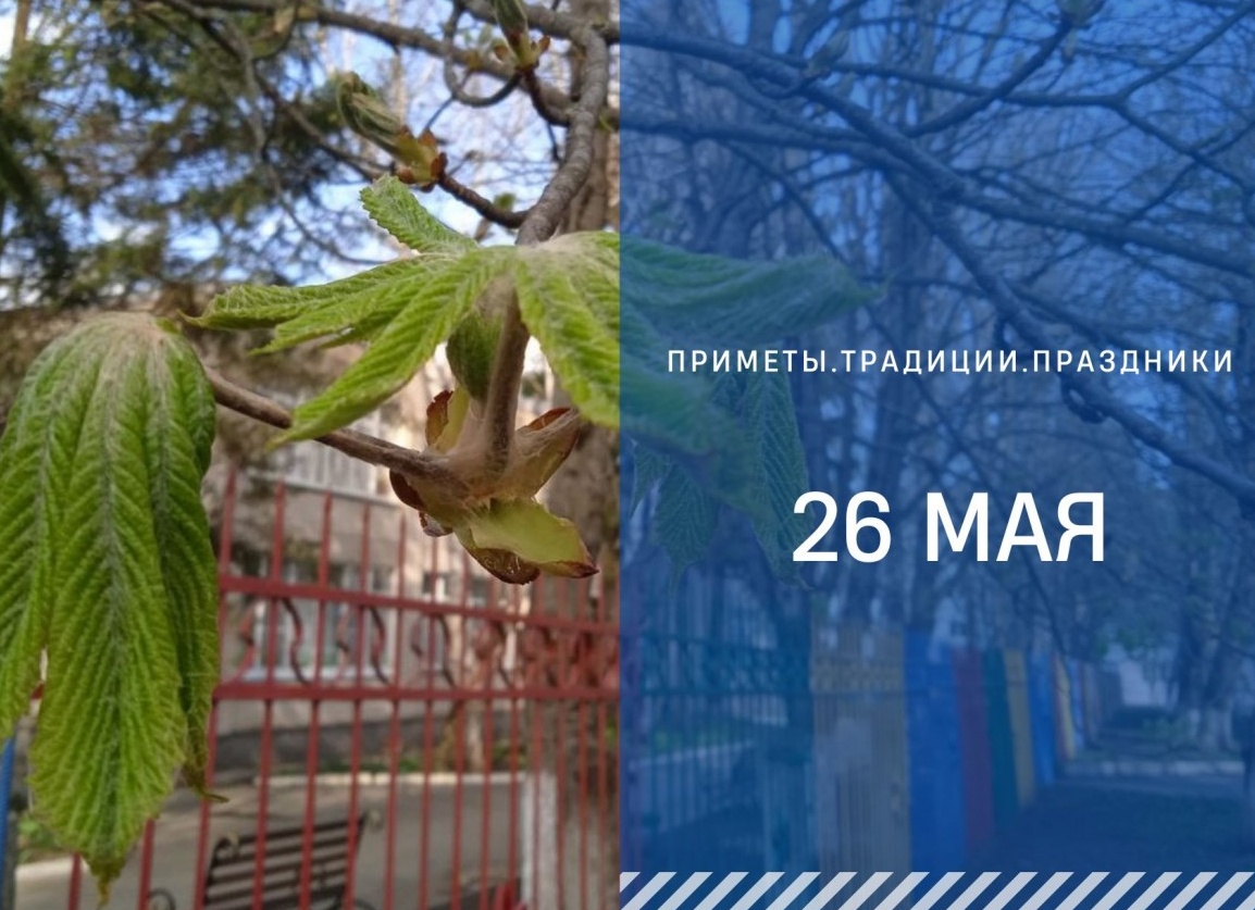 Приметы о ветке с ягодами