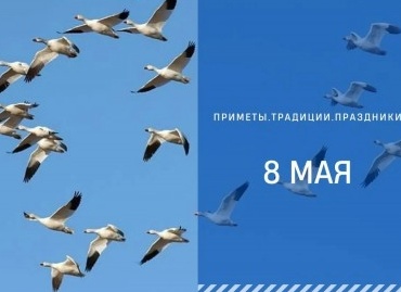 Случайно уснуть днем: примета