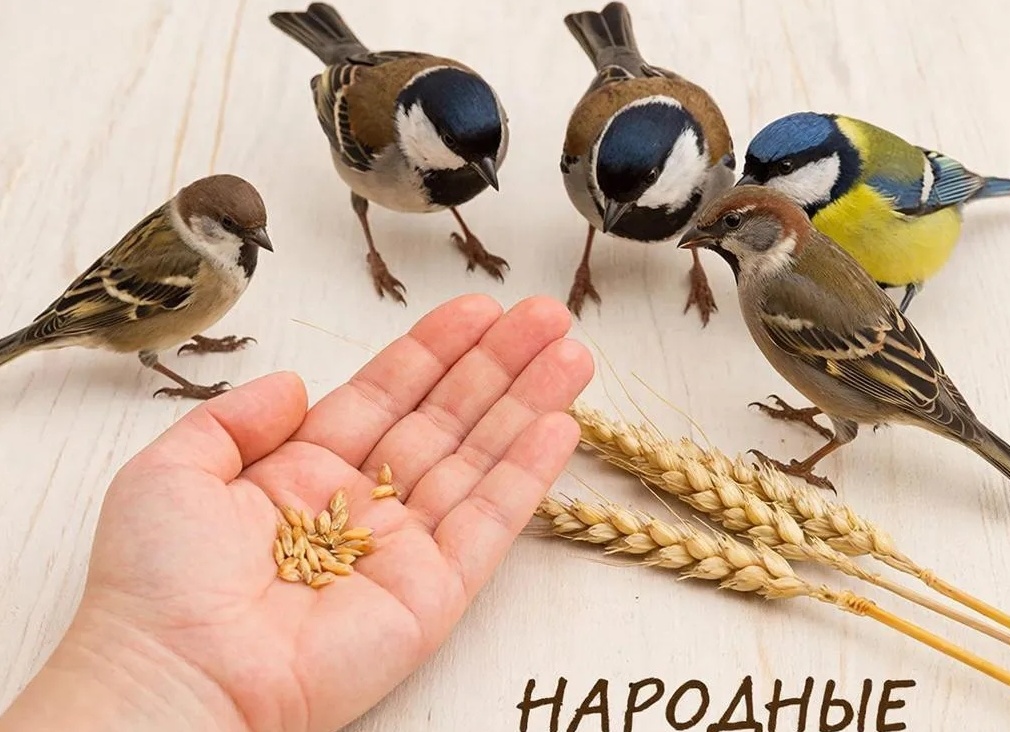 Примета о желании: как правильно загадывать Примета о желании: как правильно загадывать