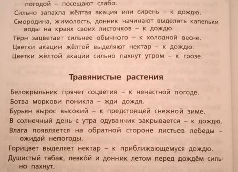 Приметы о погодных условиях перед дождем