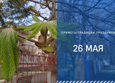 Приметы о деревьях и их связь с судьбой человека