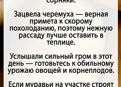 Если муравьи строят высокие муравейники