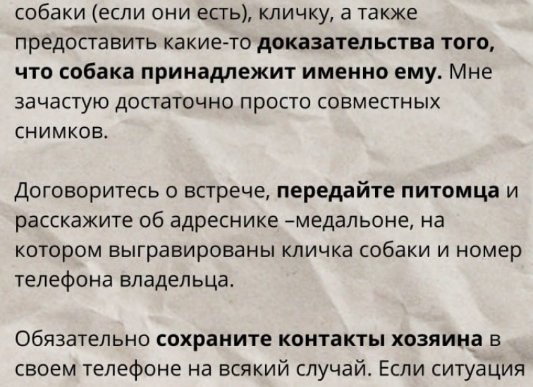 Приметы про собак Приметы про собак