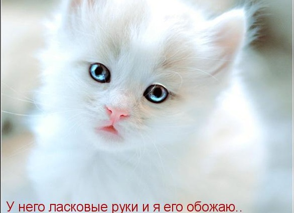 Я знаю, счастье есть! Я знаю, счастье есть!