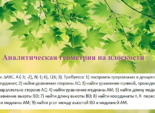 Найти кленовый лист с пятью углами: примета Найти кленовый лист с пятью углами: примета