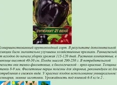 Приметы о начале сбора урожая