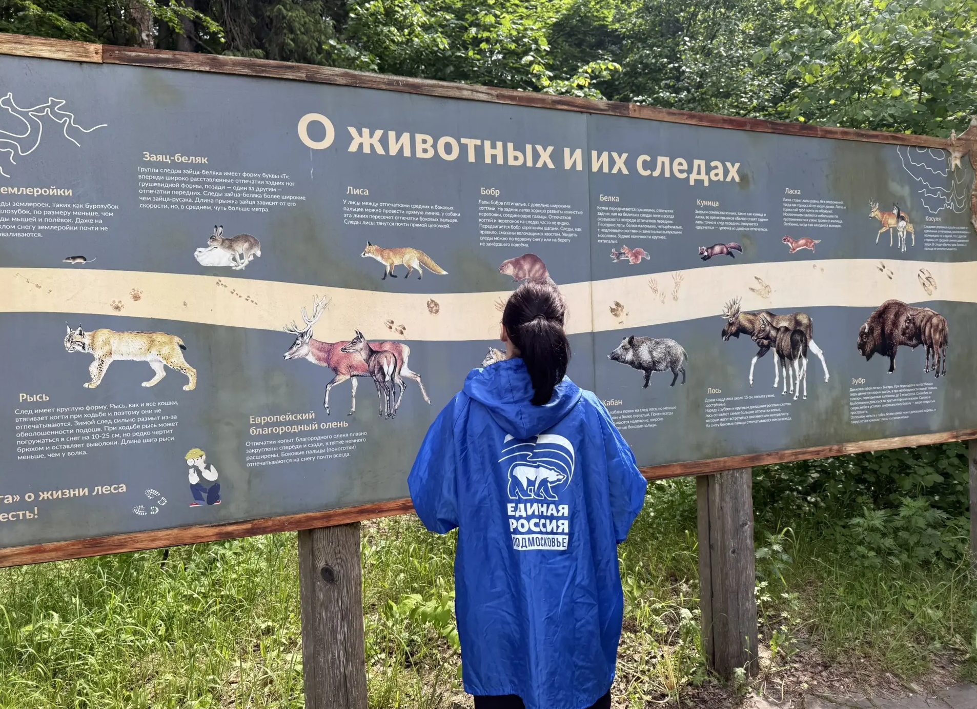 Встретить зайца-русака: народная примета