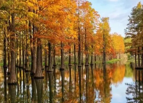 …Ключевская осень… …Ключевская осень…