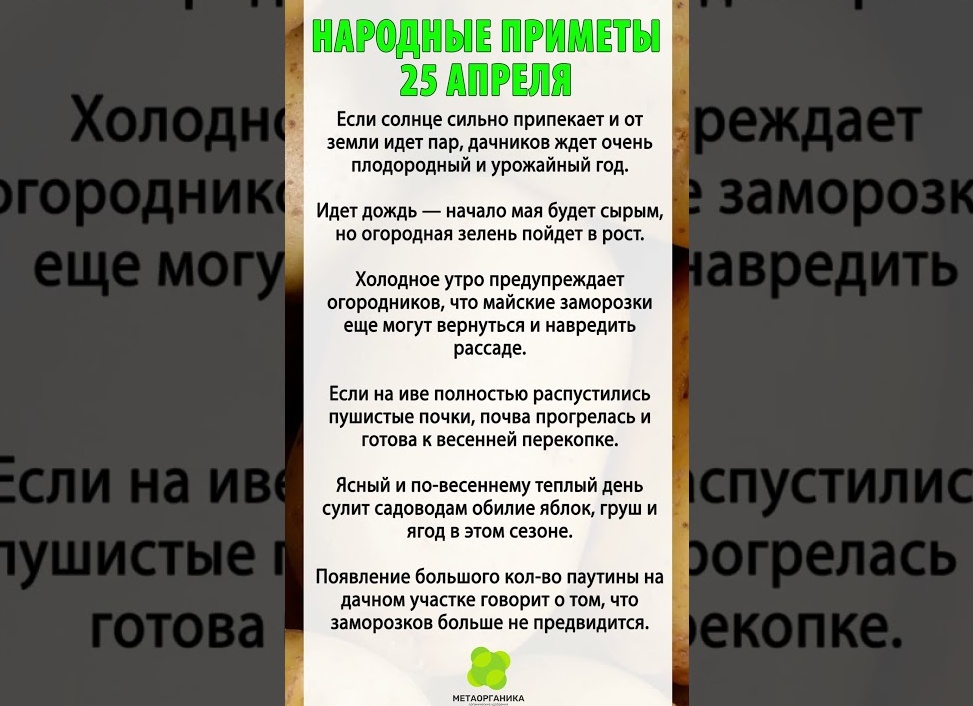 Приметы о урожайных дождях Приметы о урожайных дождях