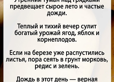 Дождь в солнечный день: примета Дождь в солнечный день: примета
