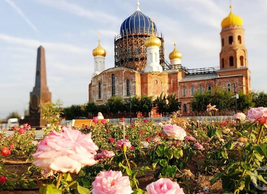 Муравьи построили купол: народная примета Муравьи построили купол: народная примета