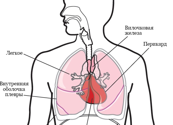 Почему нельзя мыться в ночь перед экзаменом: примета Почему нельзя мыться в ночь перед экзаменом: примета