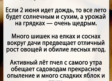 Приметы о благоприятных днях для посева Приметы о благоприятных днях для посева